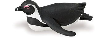 SOUTH AFRICAN PENGUIN