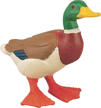 Duck