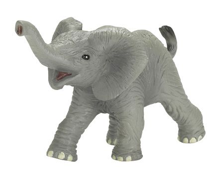AFRICAN ELEPHANT BABY TRUMPETING
