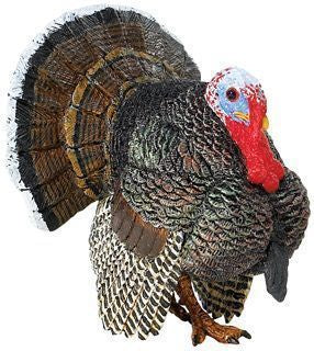 MALE TURKEY