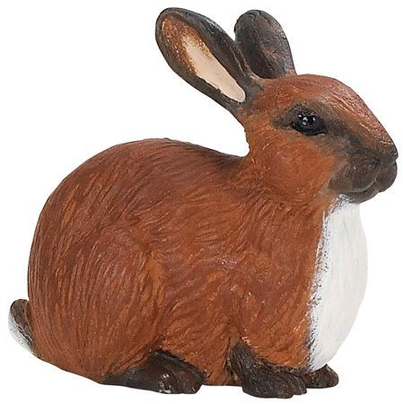 Rabbit