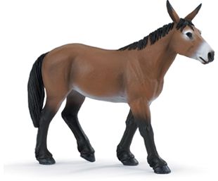 Mule