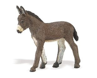 DONKEY FOAL