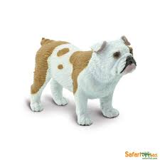 Bulldog