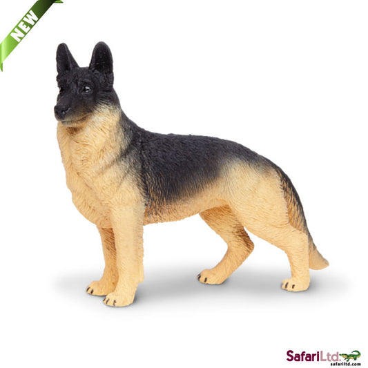 GERMAN SHEPHERD POSING
