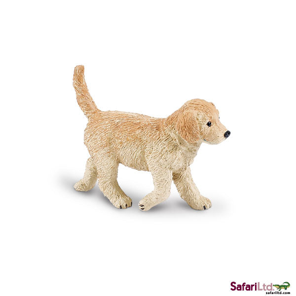 GOLDEN RETRIEVER PUPPY