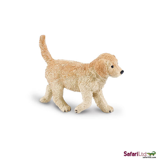 GOLDEN RETRIEVER PUPPY