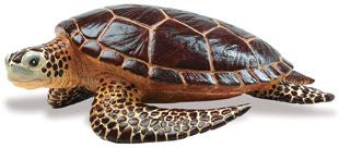 Sea Turtle