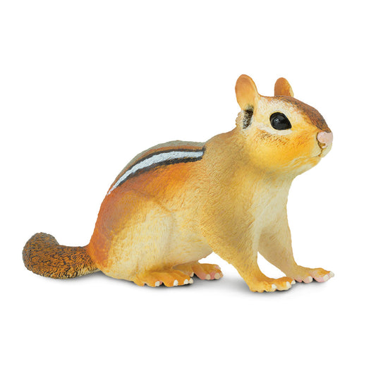 Eastern Chipmunk