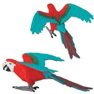 RED & BLUE MACAW