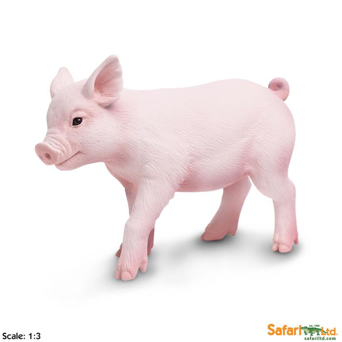 Piglet