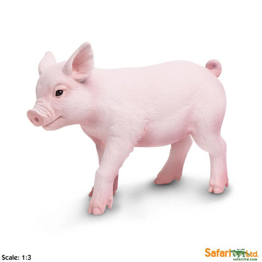 Piglet