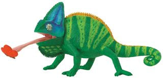 VEILED CHAMELEON