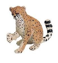 CHEETAH CUB