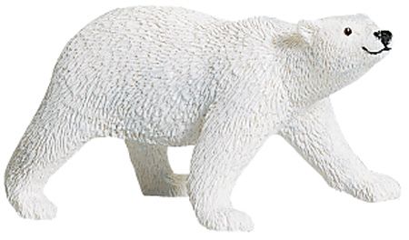 POLAR BEAR