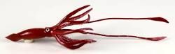 GIANT SQUID