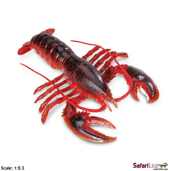 MAINE LOBSTER
