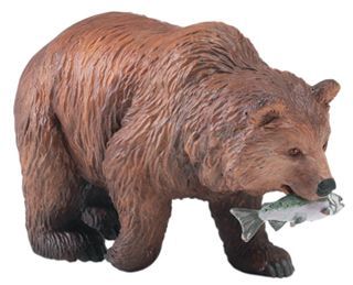 GRIZZLY BEAR