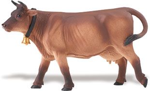 JERSEY COW