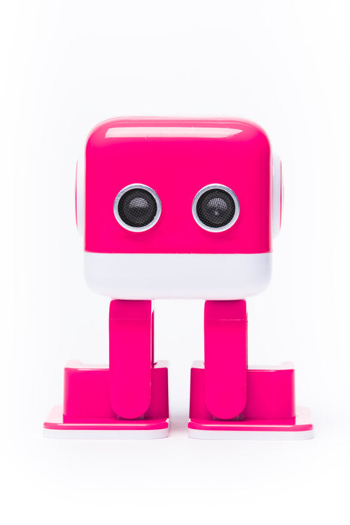 Dj Bot Amazon DJ-Bot Raspberry – Hobby and Toy Central