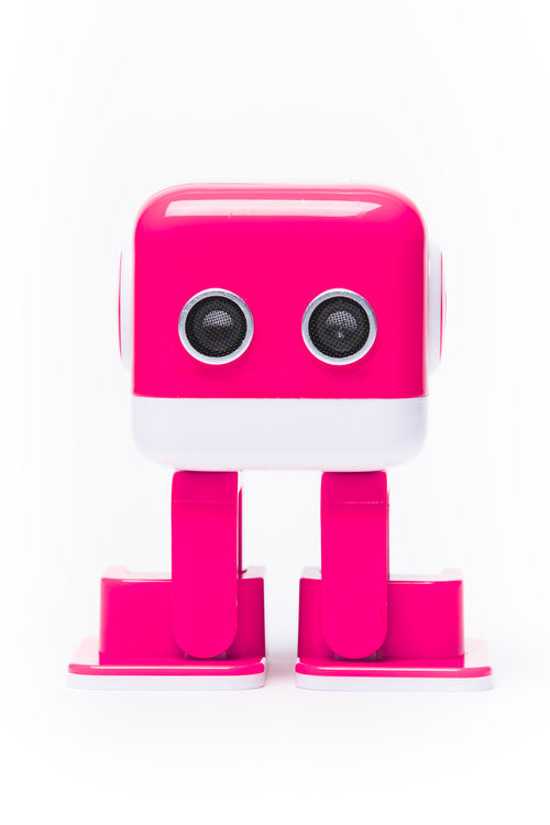 DJ-Bot Raspberry