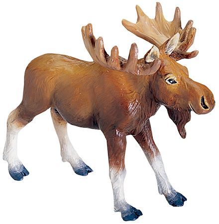 MOOSE
