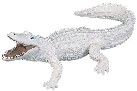 WHITE ALLIGATOR