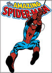 The Amazing Spider-Man Magnet