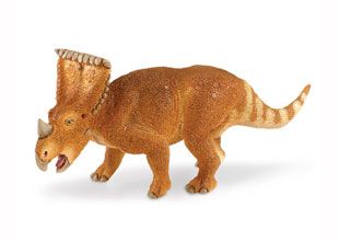 VAGACERATOPS