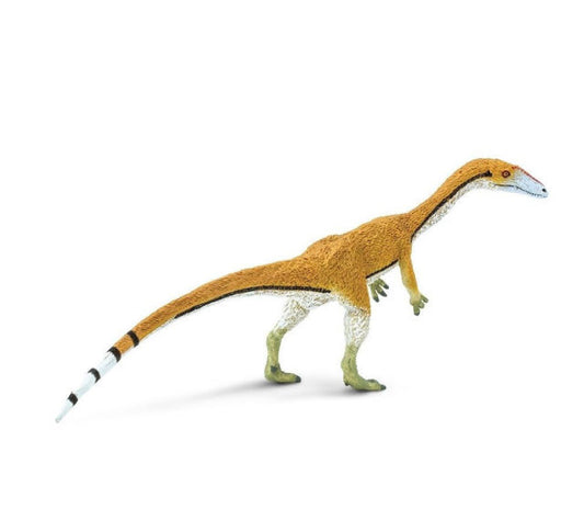 Coelophysis