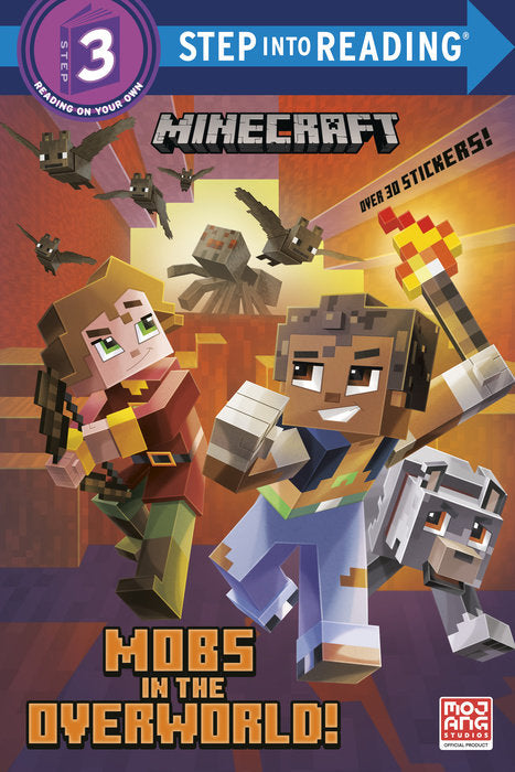 Minecraft Mobs in  Overworld Lev 3 BooK