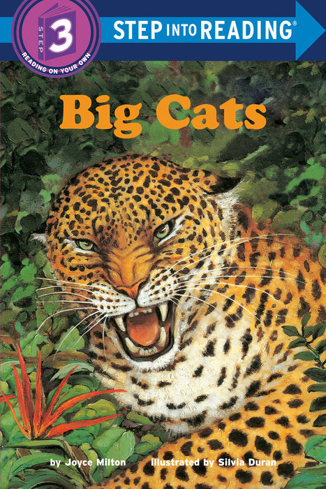 Big Cats Level 3 Book