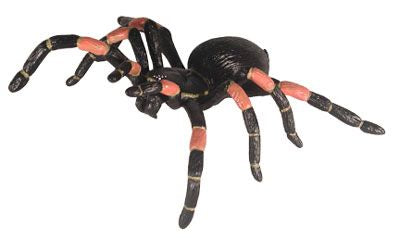 TARANTULA