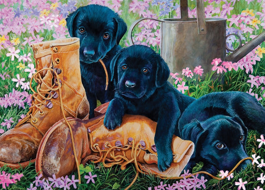 Black Lab Puppies 35pc tray