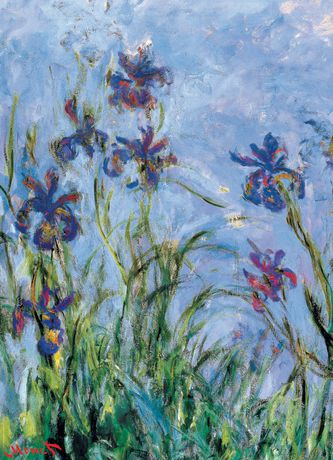 Monet Irises Claude Monet 1000pc