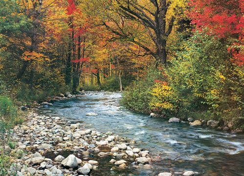 FOREST STREAM 1000PC