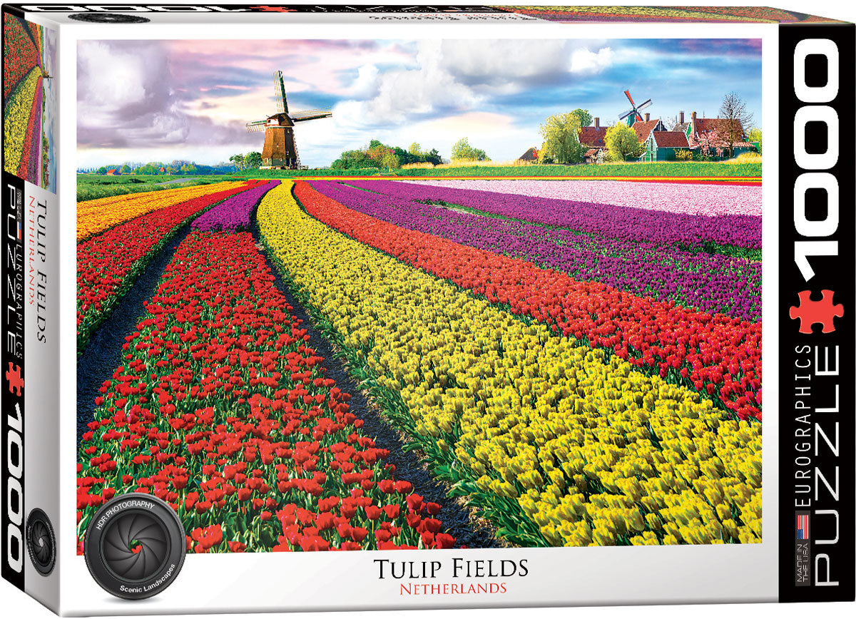 Tulip Fields 1000pc