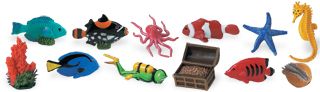 CORAL REEF TOOB