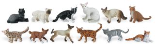 DOMESTIC CATS TOOB