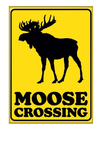 Moose Crossing Magnet