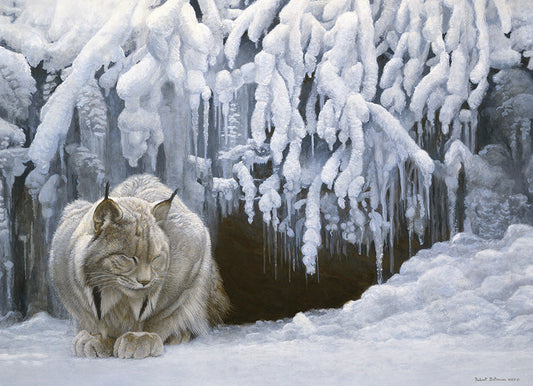 Dozing Lynx 1000pc
