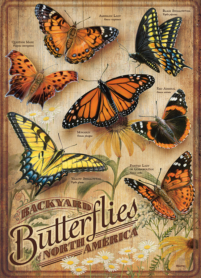 Backyard Butterflies 500pc