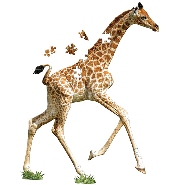 I am Lil' Giraffe 100pc