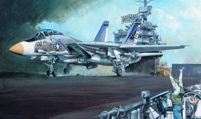 Grumman F14A Tomcat 1/48