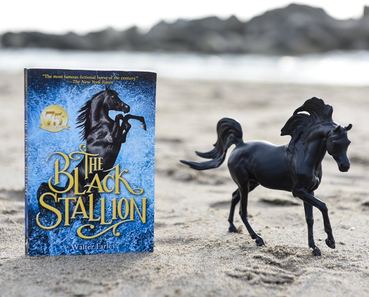 Black Stallion Horse & Book Set