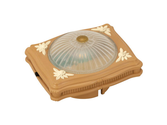 Ceiling Light