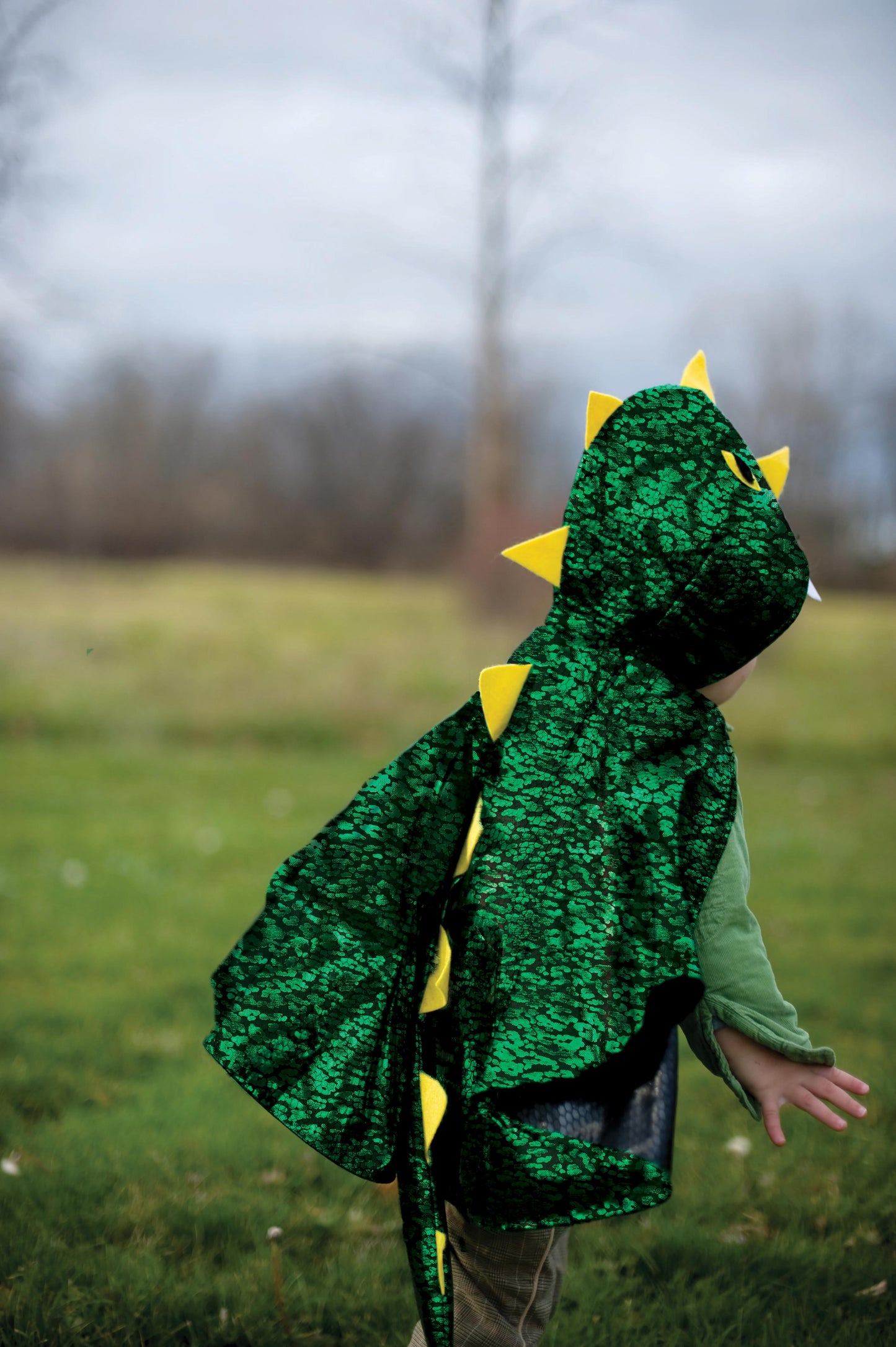 Dragon Toddler Cape