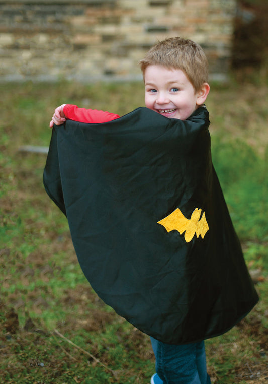 Reversible Spider/Bat Cape & Mask Size 4