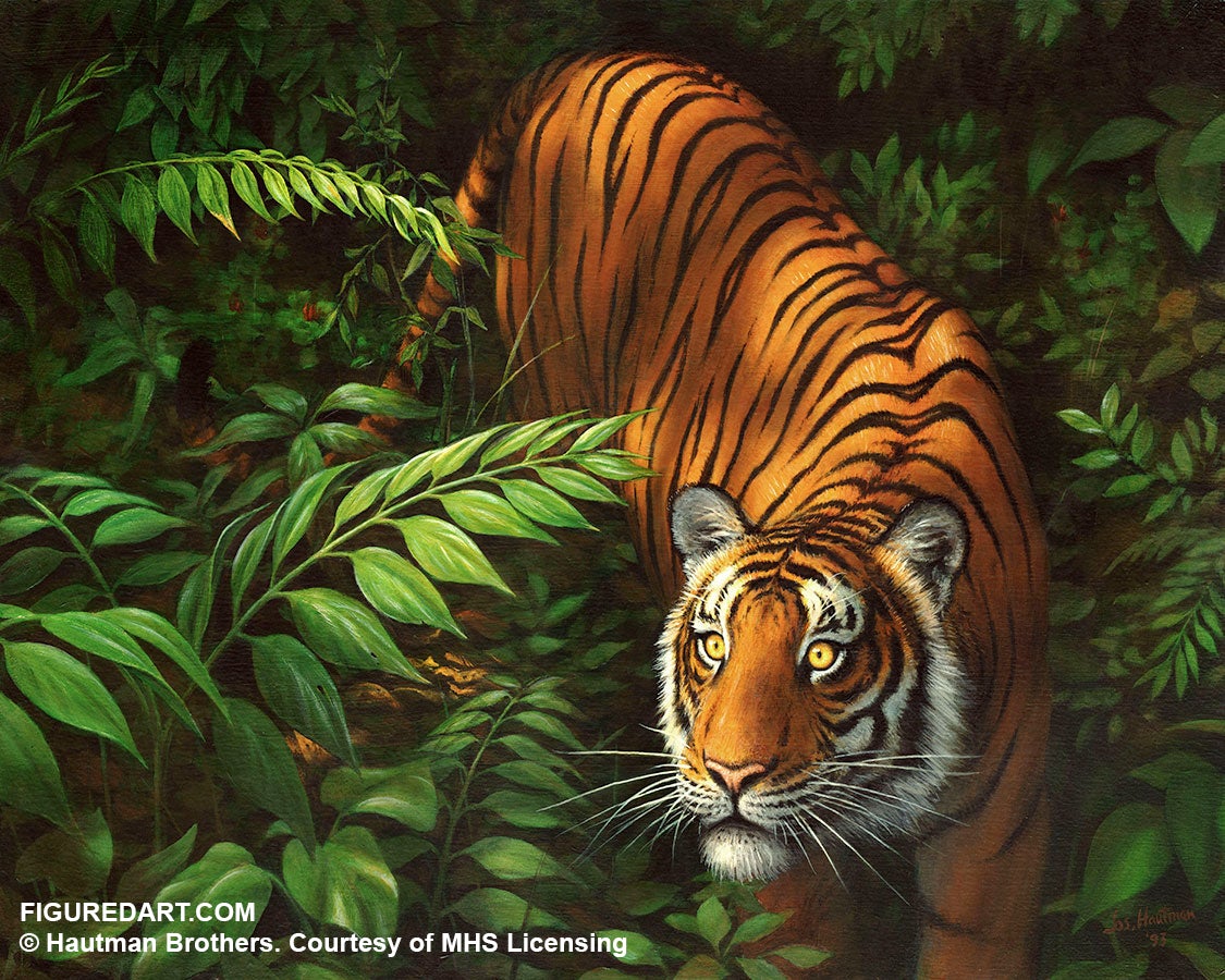 Tiger in Ferns Frame 15.7X19.6"