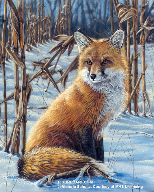 Fox in the Snow Frame 15.7X19.6"
